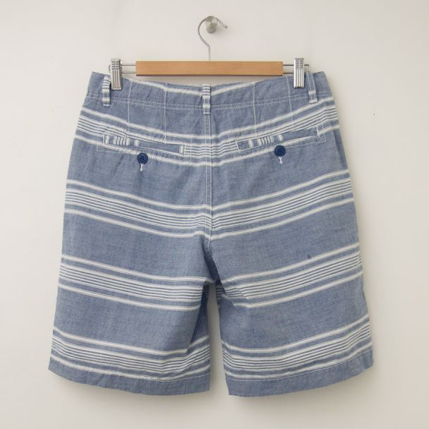NEW GapKids Boy's Flat Front Shorts in Blue Stripe (back)