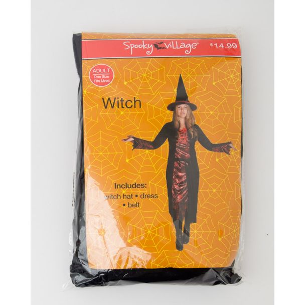 Spooky Village Halloween Witch Costume Adult