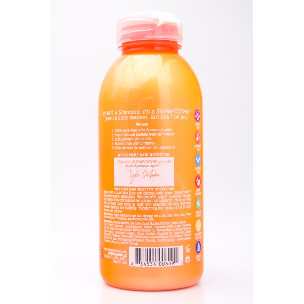 Real Raw Shampoothie Collagen Plump Bodyful Shampoo 12 fl oz