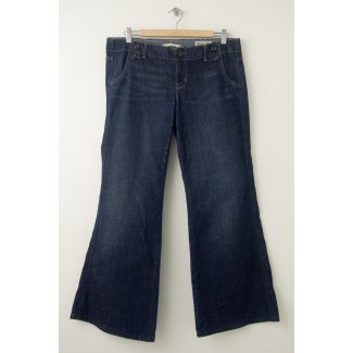 Gap Limited Edtion Jeans Women's 31/12p - Petite