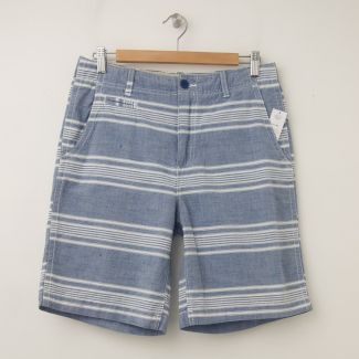 NEW GapKids Boy's Flat Front Shorts in Blue Stripe