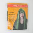 Spooky Village Witch Morticia Adult Wig in Black with Green