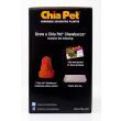 Chia Pet Chewbacca Empire Stokes Back 40 Planter